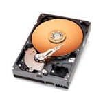 Western Digital WD3200KSRTL Caviar 320 GB SATA 3.5-Inch Hard Drive