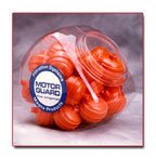 Motor Guard 25 Spray Gun Filters in a Jar / MOT-D12CJ