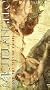 Art & Splendor: Michelangelo & Sistine Chapel [VHS]