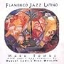 Flamenco Jazz Latino