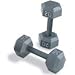 20 lb. Hex Dumbbells (Pair)