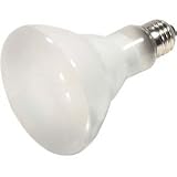 Satco S4502 75br30/Fl/Hal 75w Base 120v