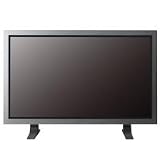 Samsung PPM42M6S - 42 plasma panel - widescreen - 480p