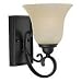 Sea Gull Lighting 41120-814 Del Prato One-Light Wall Sconce, Misted Bronze Finish with Seeded Acid Etch Café Tint Glass