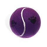 Pet Jumbo Pet Tennis Ball