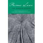 The Mirror Maker