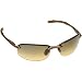 Apparel : PeakVision SD7 Series Golf Sunglasses