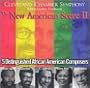 New American Scene II
