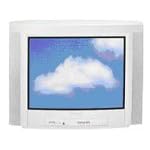 Philips 21PT4457 21" 4:3 Television