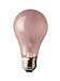 100 Watt A19 Incandescent - Reptile