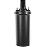 IMAGE OF Borg Warner E30 Ignition Coil