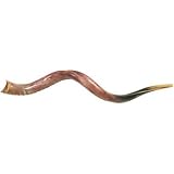 Musical Instruments : Yemenite Shofar. Extra large.