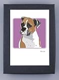 Paper Russells PAGBC490 Grrreen Boxed 6 Note Cards - Boxer Slanted Head