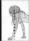 ジョルナダ (Feelコミックス)