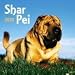 dogs42  - SharPei 2010 Wall Calendar
