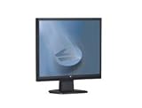 V7 D1912 - Flat panel display - TFT - 19 - 1280 x 1024 / 75 Hz - 300 cd/m2 - 800:1 - 5 ms - 0.294 mm - DVI-D, VGA - speakers - black