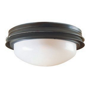 Low Profile Marine II Fan Light Kit in New Bronze Finish