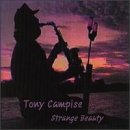 Strange Beauty by Tony Campise