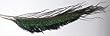 Peacock Herl and Swords Peacock Swords (6 pack)