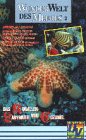 Wunderwelt des Meeres 2 - Das Korallenlabyrinth von Cozumel