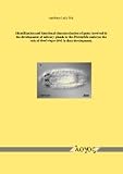 Identification and functional characterization of genes involved in the development of salivary glands in the Drosophila embryo: the role of dead ringer (dri) in duct development