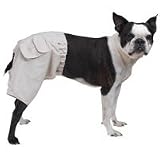 Casual Canine Cargo Shorts (XL)