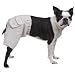 Casual Canine Cargo Shorts (Large)