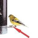 Havahart Wooden Perch Kit