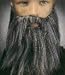 Full Beard w/ Attached Moustashe