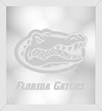 Florida Gators Beveled Wall Mirror