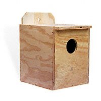 Parakeet Nest Box by Avian Select