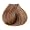 5g Light Golden Chestnut