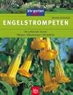 Engelstrompeten