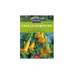 Engelstrompeten
