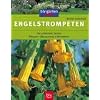 Engelstrompeten