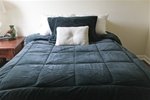 College Plush Comforter - Dark Green