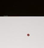 Vadim Gushchin : everyday objects/cultural treasures