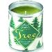 Aunt Sadie's Tree in a Can
