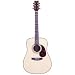Dreadnought Acoustic Guitar - Natural Finish