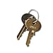 Master Lock Keys for V69 Series (EA)