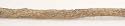 Sweet Gum Walking Stick
