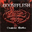 Chemical Garden
