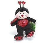 Take My Heart Ladybug
