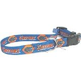 Collegiate Dog Collar, North Carolina Large (Fits 18-26; 1 wide)