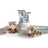 Plush Tanya Tiger Mini Flopsie 8