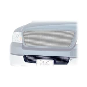 Westin 34-0420 Bumper Insert - Polished