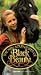 The New Adventures of Black Beauty (1992), Vol. 2