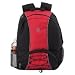 Polyester Backpack Image