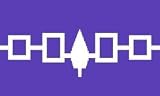 Iroquois First Nations Native Large 3 X 5 Feet Flag Banner .. Great Quality ... New