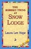 The Bobbsey Twins at Snow Lodge